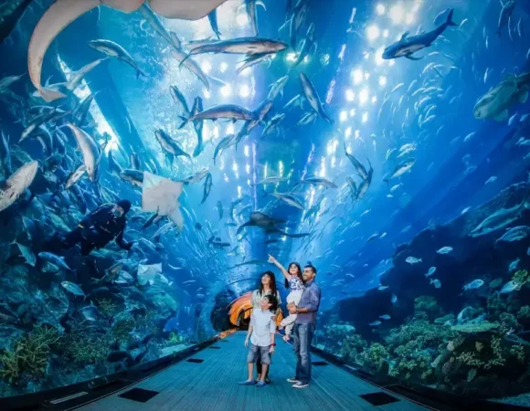 Burj Khalifa + Aquarium Tickets