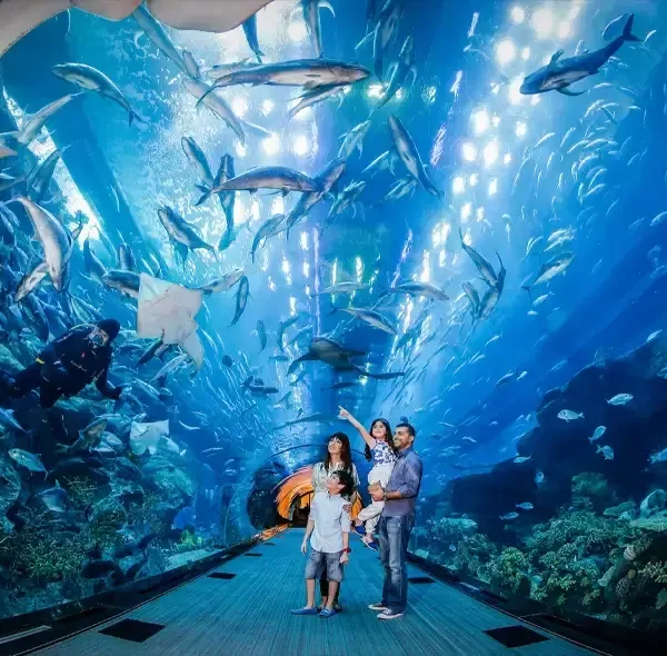 Burj Khalifa + Aquarium Tickets