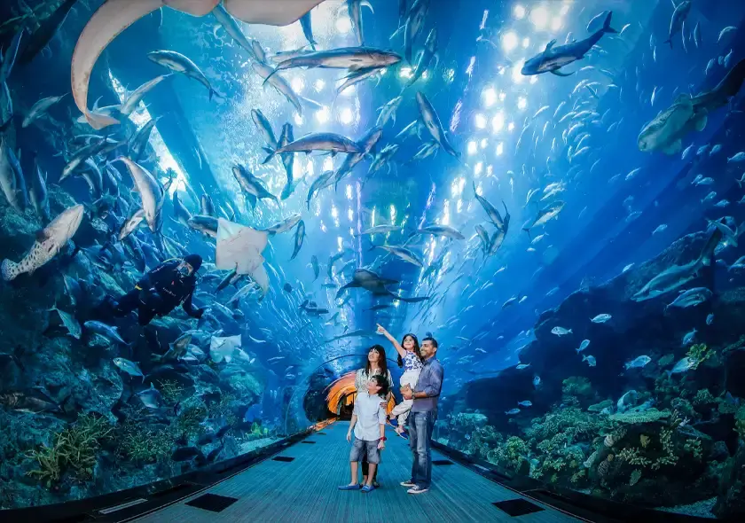 Burj Khalifa + Aquarium Tickets