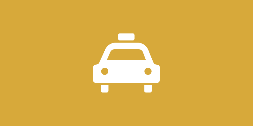 Domenstic Transportation Service Icon